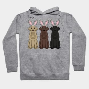 Labrador Bunnies Hoodie